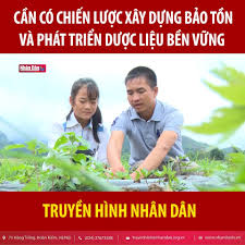 CẦN CÓ CHIẾN LƯỢC XÂY DỰNG BẢO VỆ VÀ PHÁT TRIỂN DƯỢC LIỆU BỀN VỮNG 