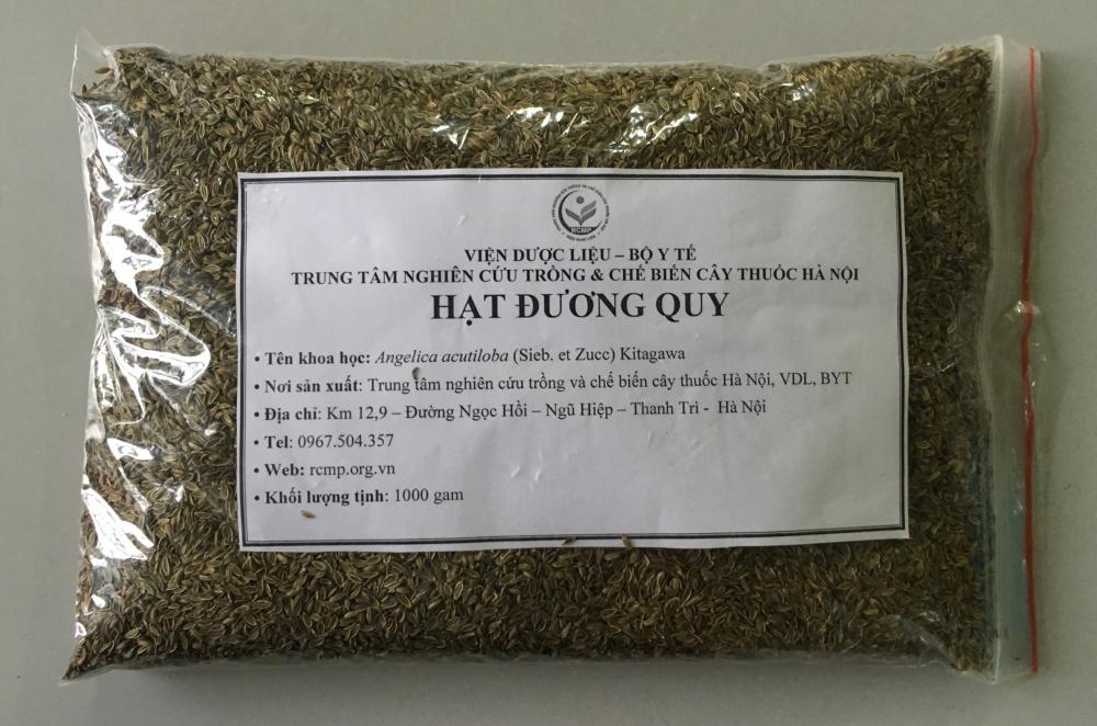 Hạt giống Đương quy Nhật