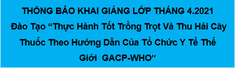 KHAI GIẢNG LỚP ĐÀO TẠO GACP THÁNG 4/ 2021