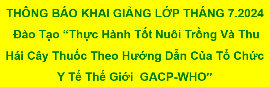 THÔNG BÁO TUYỂN SINH LỚP ĐÀO TẠO GACP - WHO THÁNG 7 NĂM 2024
