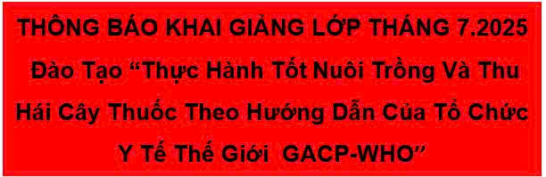 THÔNG BÁO TUYỂN SINH LỚP ĐÀO TẠO GACP - WHO THÁNG 7 - NĂM 2025